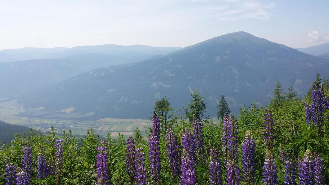 Villa Mountain View With Waterbed Санкт Михаел им Лунгау Екстериор снимка